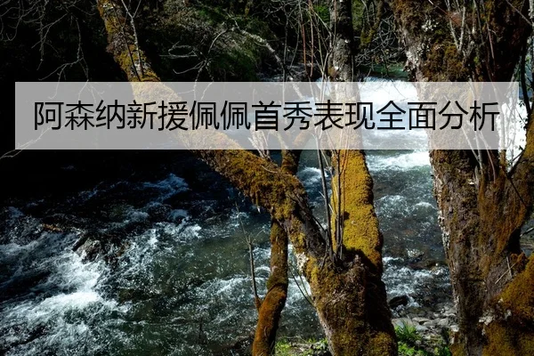阿森纳新援佩佩首秀表现全面分析